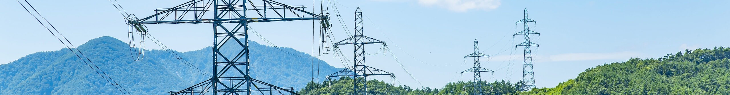 Transport of materials for use in pylon maintenance